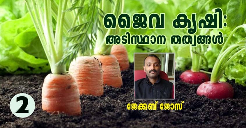 ജൈവ കൃഷി: അടിസ്ഥാന തത്വങ്ങൾ