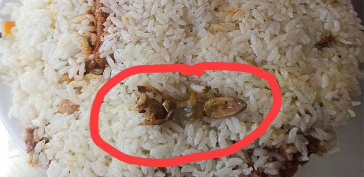 ചിക്കൻ ബിരിയാണി ചോദിച്ചാൽ പല്ലി ഫ്രൈ ഫ്രീയായി കിട്ടും
