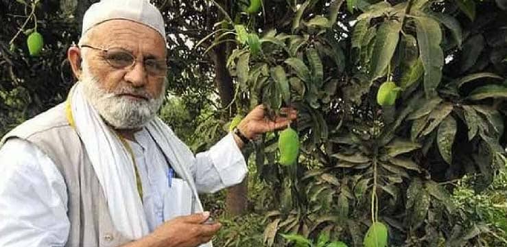 ഒരു മാവ് മരത്തിൽ നിന്നും 300 ഇനം മാങ്ങകൾ കഴിക്കാൻ സാധിക്കുമോ ? ഈ 'മാംഗോ മാൻ' അത് സാധിച്ചു